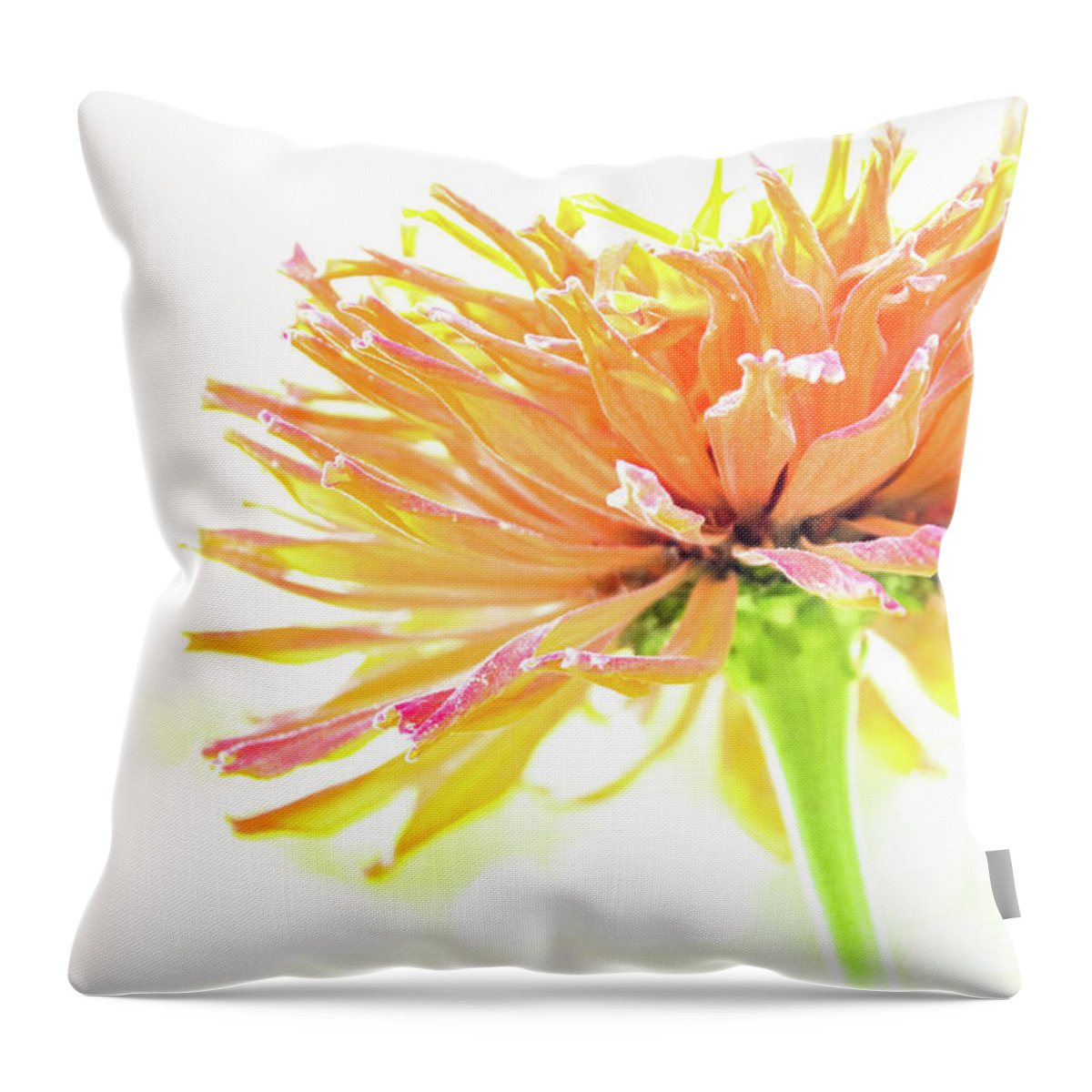 Tangerine Throw Pillow featuring the photograph Tangerine Dream by Becqi Sherman