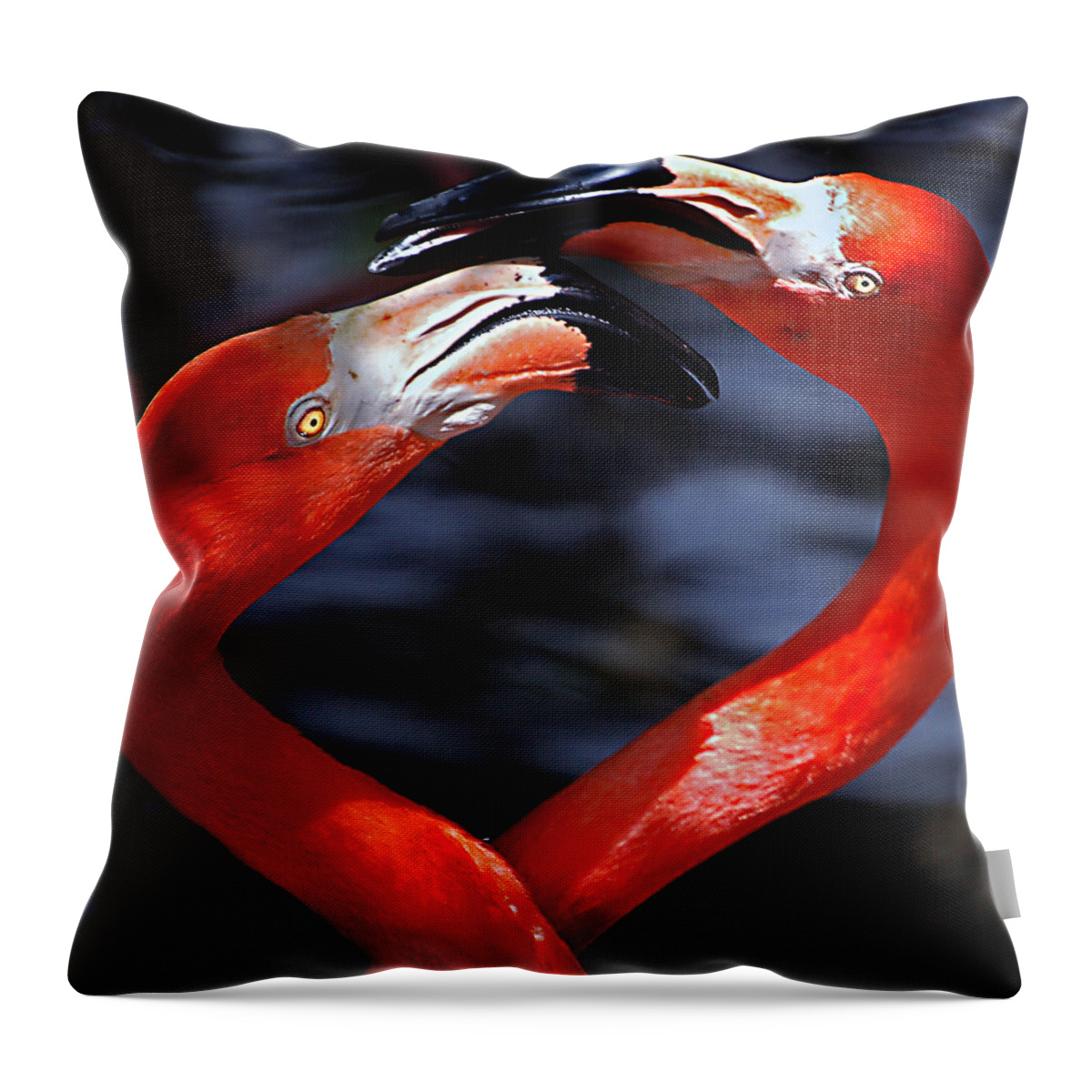 Donna Proctor Throw Pillow featuring the photograph Tangled In Love by Donna Proctor