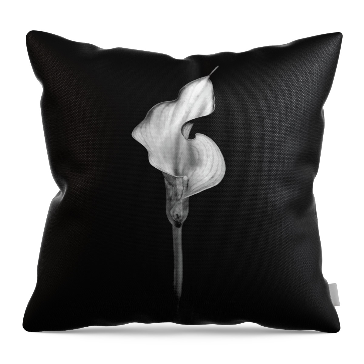 Beautiful Black And White Flower Throw Pillow featuring the photograph Tantric Moods by Az Jackson