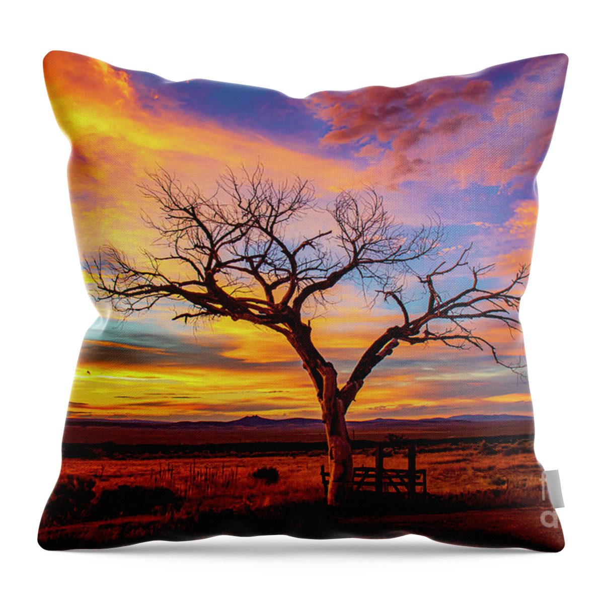 Taos Throw Pillow featuring the photograph Taos Welcome Tree with amazing sunset by Elijah Rael