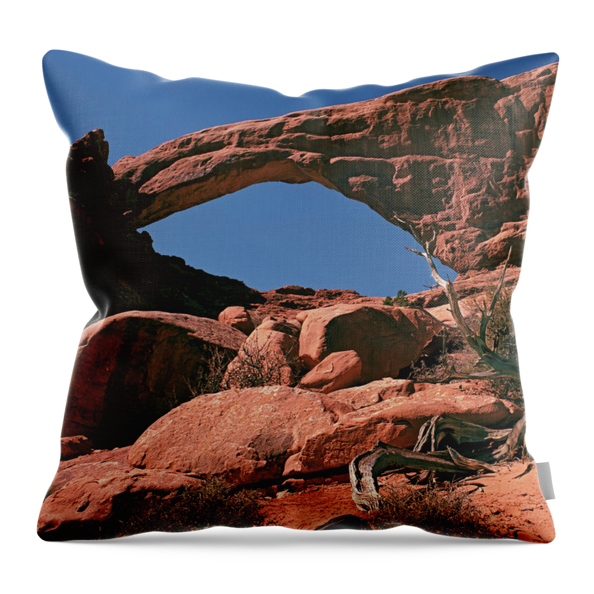 Tom Daniel Throw Pillow featuring the photograph Tapestry Arch by Tom Daniel