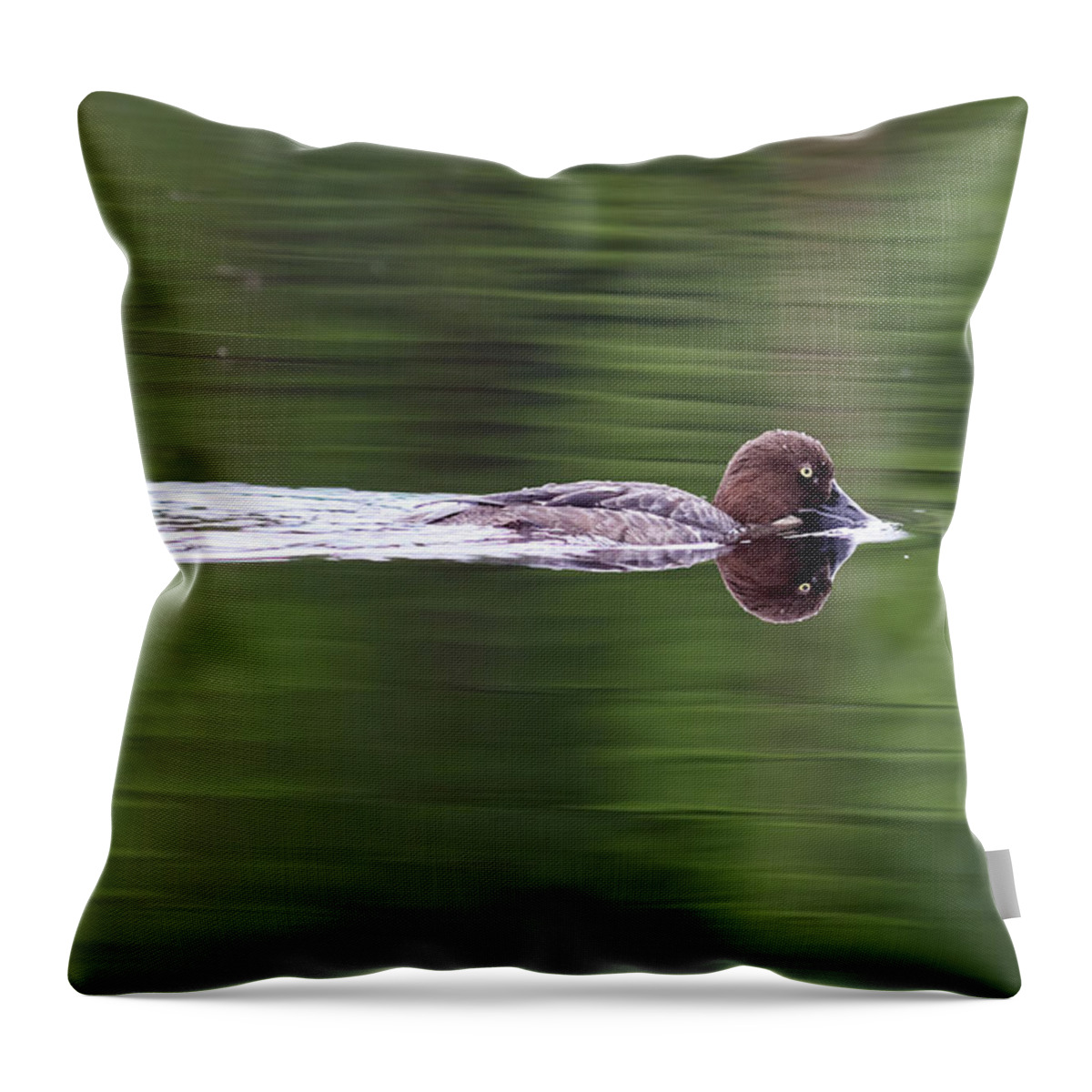 Bucephala Clangula Throw Pillow featuring the photograph Tasting the waters. Common goldeneye by Jouko Lehto