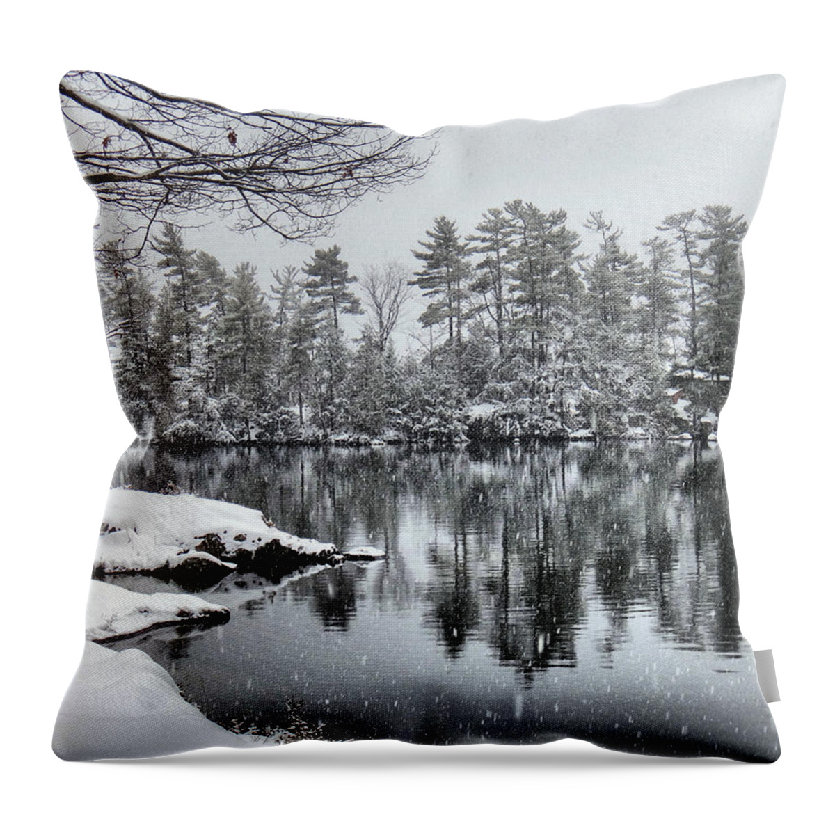 Trees Throw Pillow featuring the photograph Tea Island Winter Reflections by Russel Considine