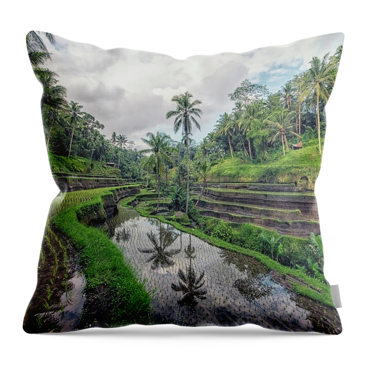Agriculture Throw Pillow featuring the photograph Tegallalang by Manjik Pictures