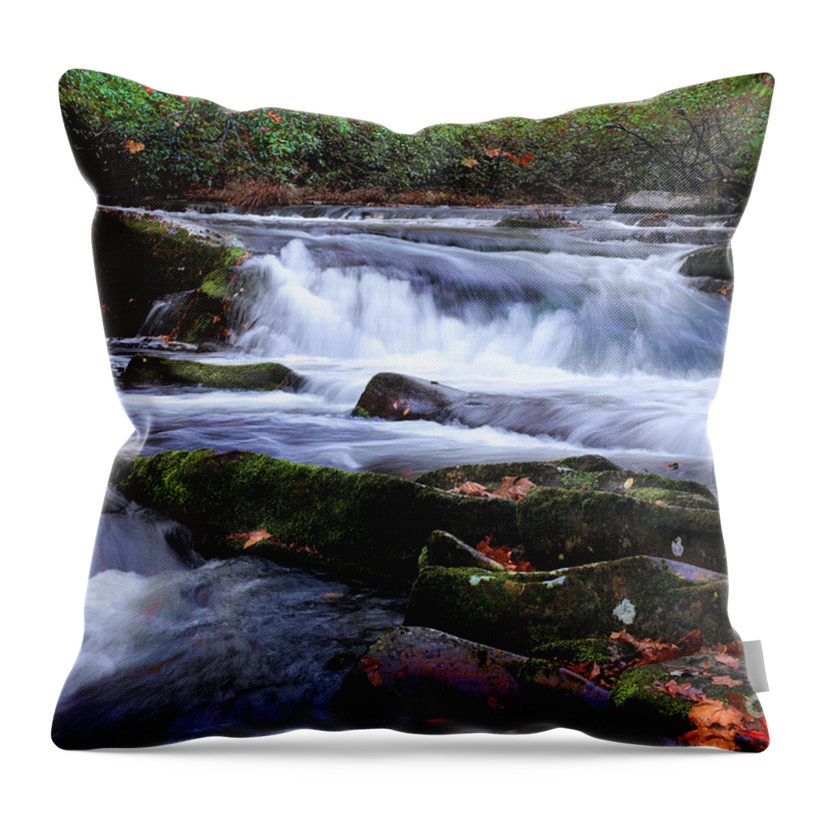 Tellico River Throw Pillow featuring the photograph Tellico Moment by Rick Lipscomb