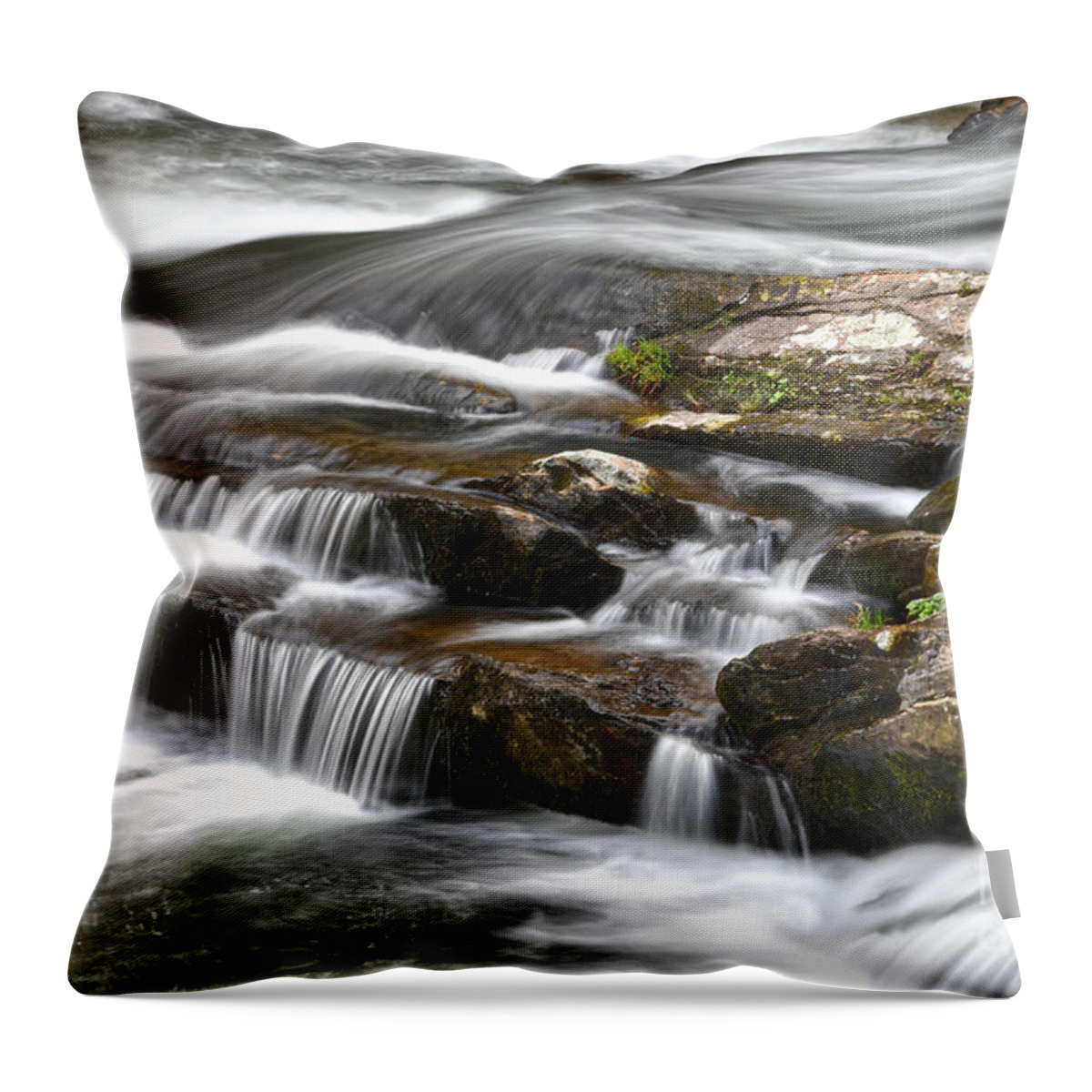 Cherokee National Forest Throw Pillow featuring the photograph Tellico River 2 by Phil Perkins