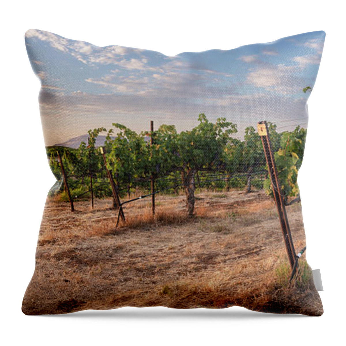 Temecula Throw Pillow featuring the photograph Temecula Vineyard on Rolling Hills by William Dunigan