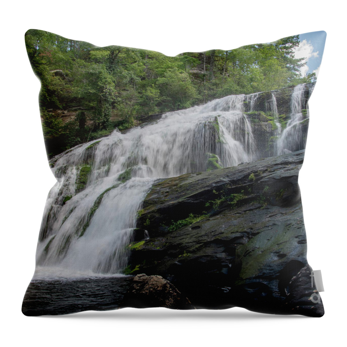 3707 Throw Pillow featuring the photograph Tennessee Nature by FineArtRoyal Joshua Mimbs