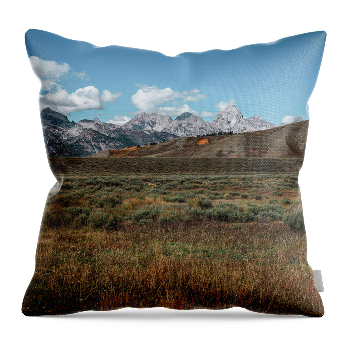 Beautiful Autumn Landscape In Grand Teton National Park Throw Pillow featuring the photograph Tetons Landscape Wide Angle by Dan Sproul
