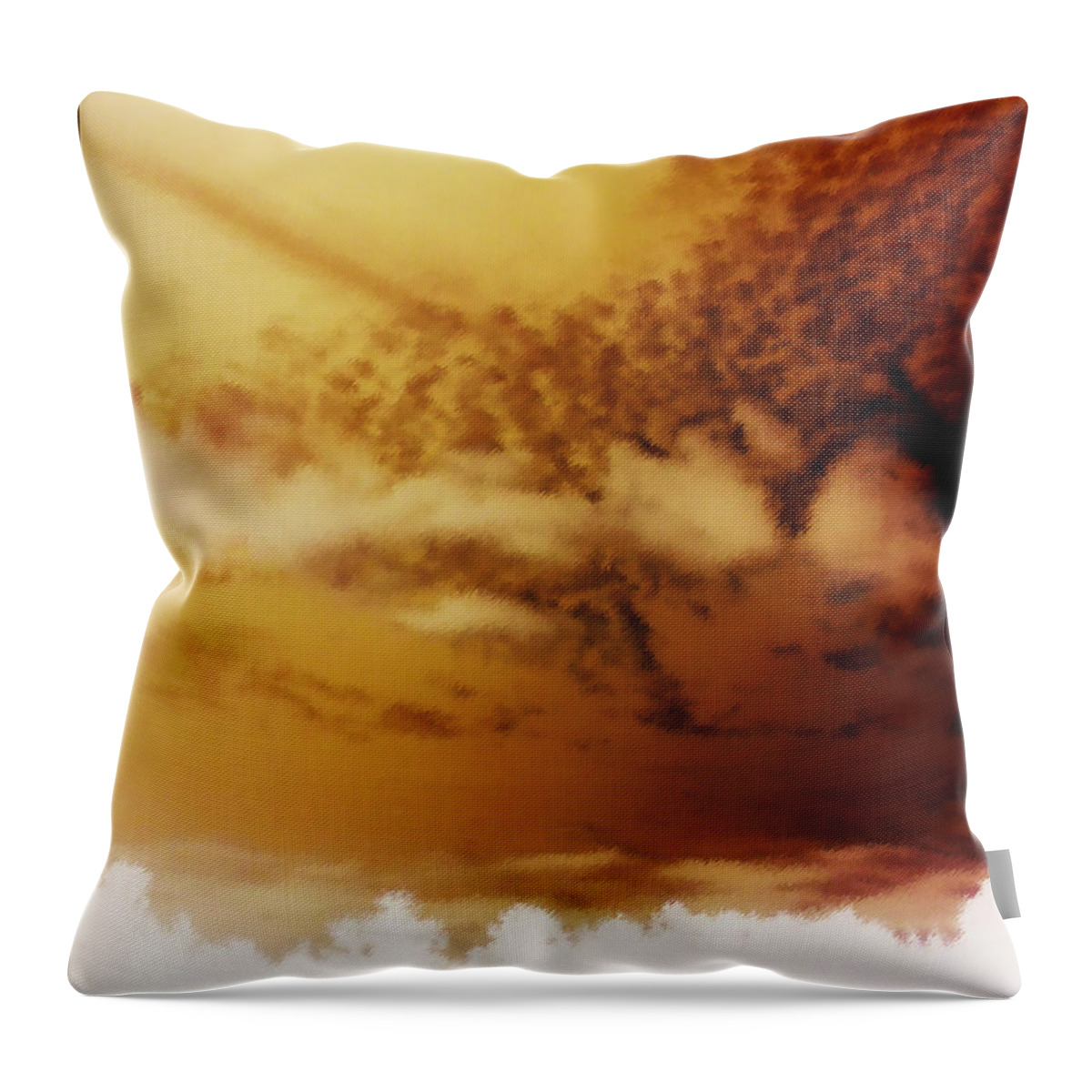 Texas Throw Pillow featuring the photograph Texas Afternoon 2 by Max Mullins