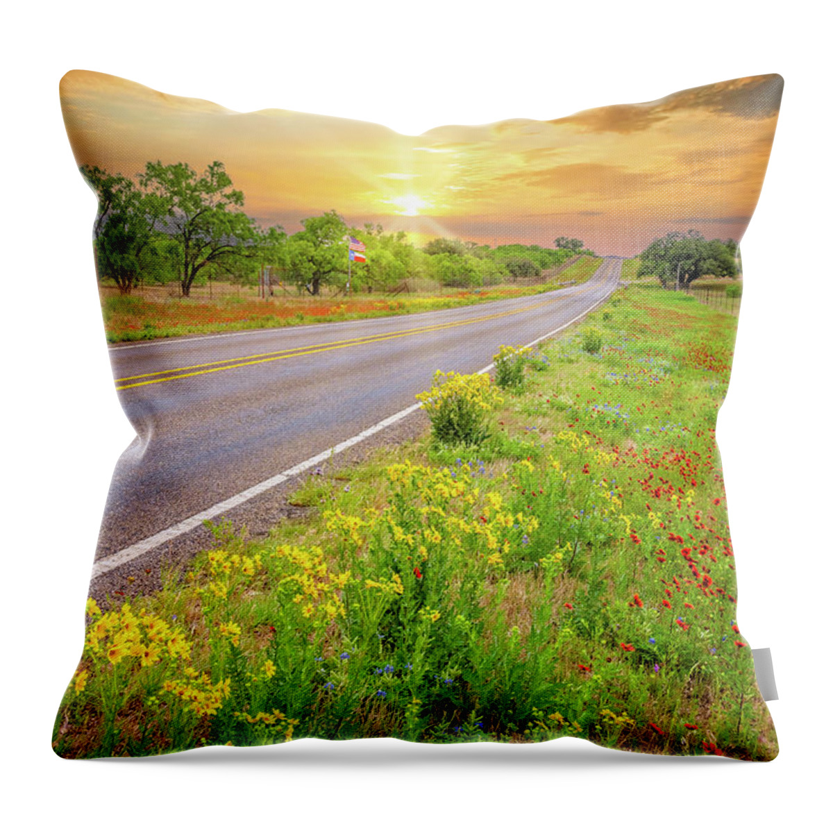 Texas Hill Country.texas Wildflowers Throw Pillow featuring the photograph Texas Backroad Bliss by Lynn Bauer