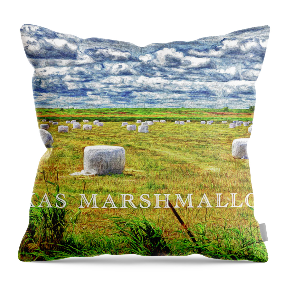 Harvest Throw Pillow featuring the photograph Texas Marshmallows-Digital Art by Steve Templeton