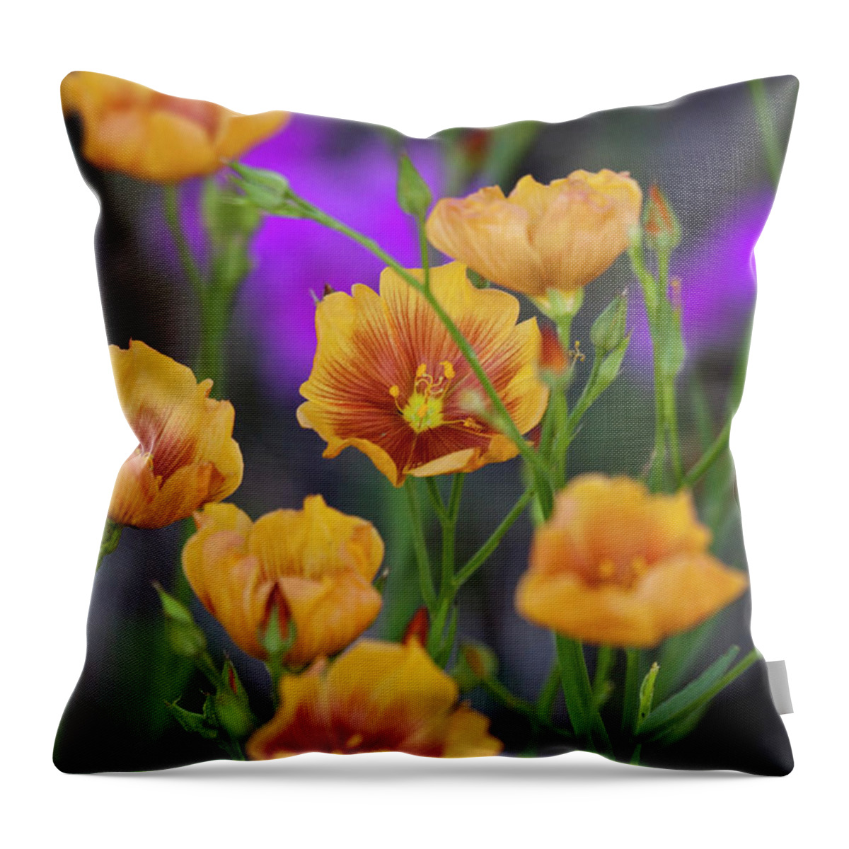 Colorful Throw Pillow featuring the photograph Texas wildflower 1 by Eggers Photography
