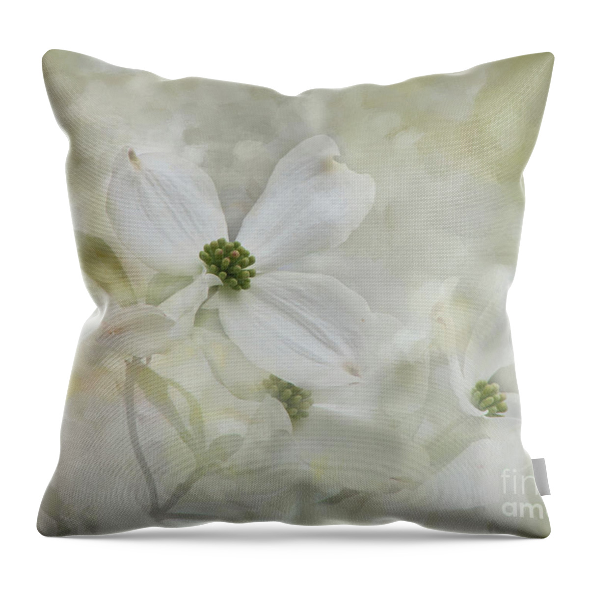 Dogwood Throw Pillow featuring the photograph Textured Spring Flowering Dogwoods by Amy Dundon