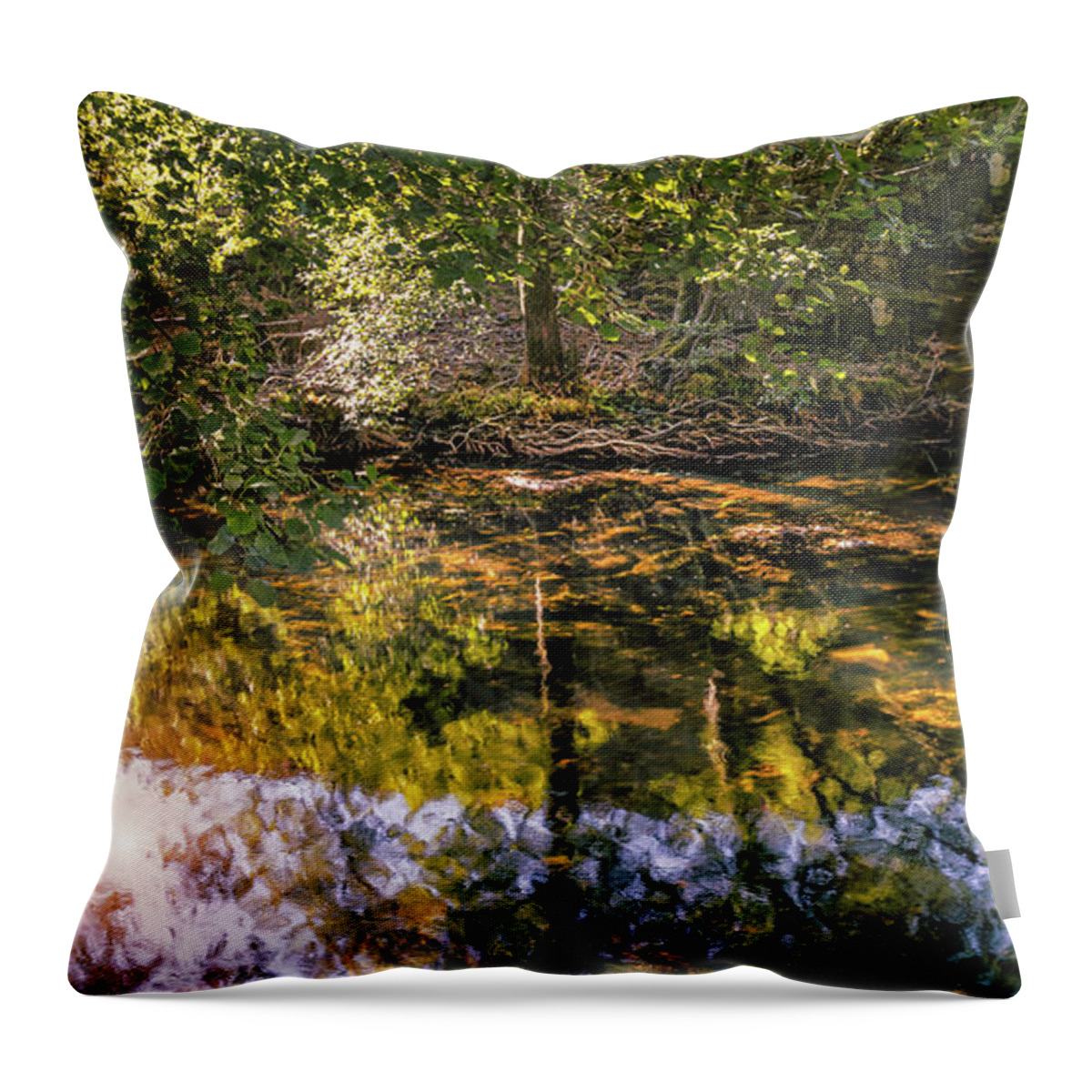 Tree Throw Pillow featuring the photograph Textured tree in the pond by Micah Offman