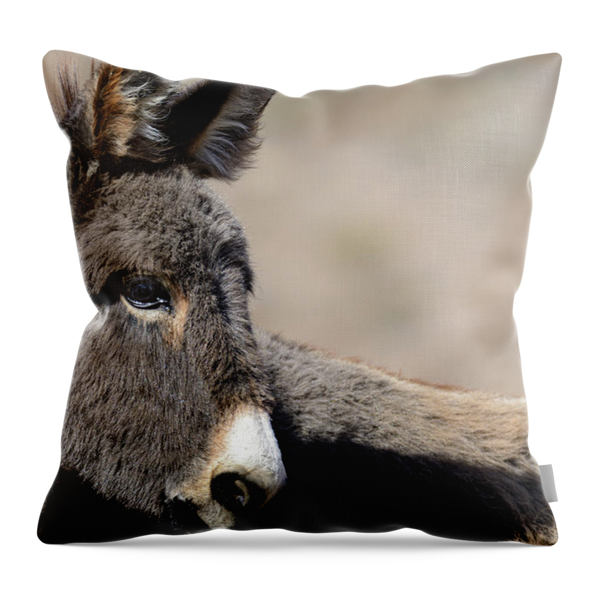 Wild Burros Throw Pillow featuring the photograph That face by Mary Hone