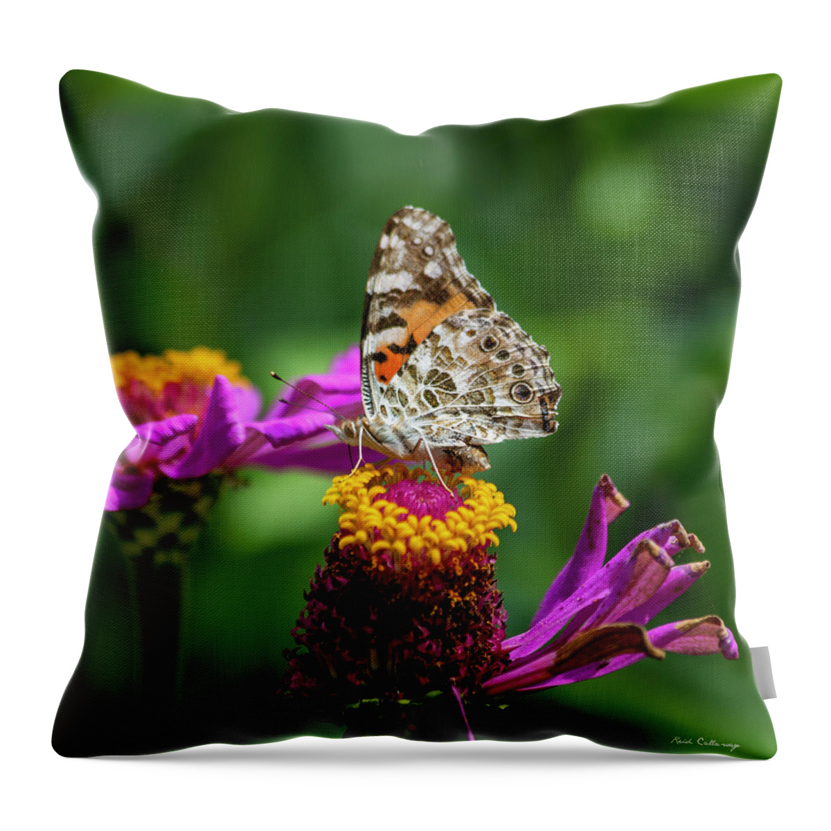 Reid Callaway Painted Lady Butterfly Images Throw Pillow featuring the photograph The Amazing Painted Lady Butterfly Garden Wildlife Art by Reid Callaway