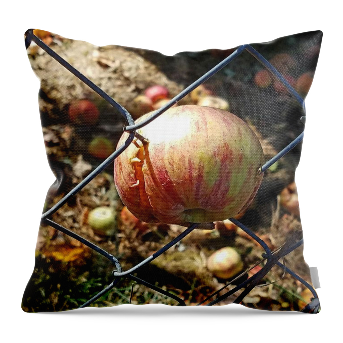 Apple Throw Pillow featuring the photograph The Apple Doesn't Fall Far by Suzy Piatt