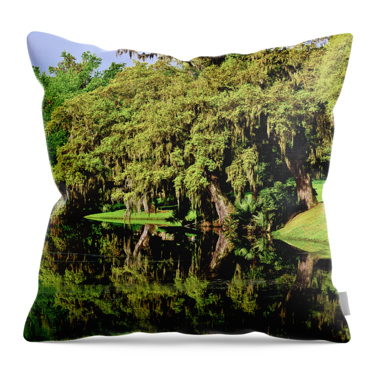 Ashley River Throw Pillow featuring the photograph The Ashley River by Louis Dallara