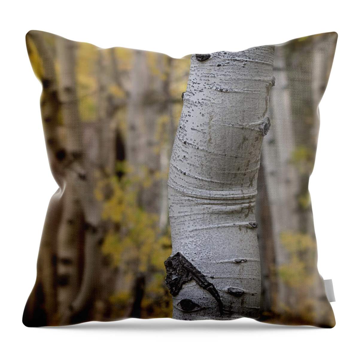 Aspen Throw Pillow featuring the photograph Cabin Series 2, Sorensens Resort by Alessandra RC