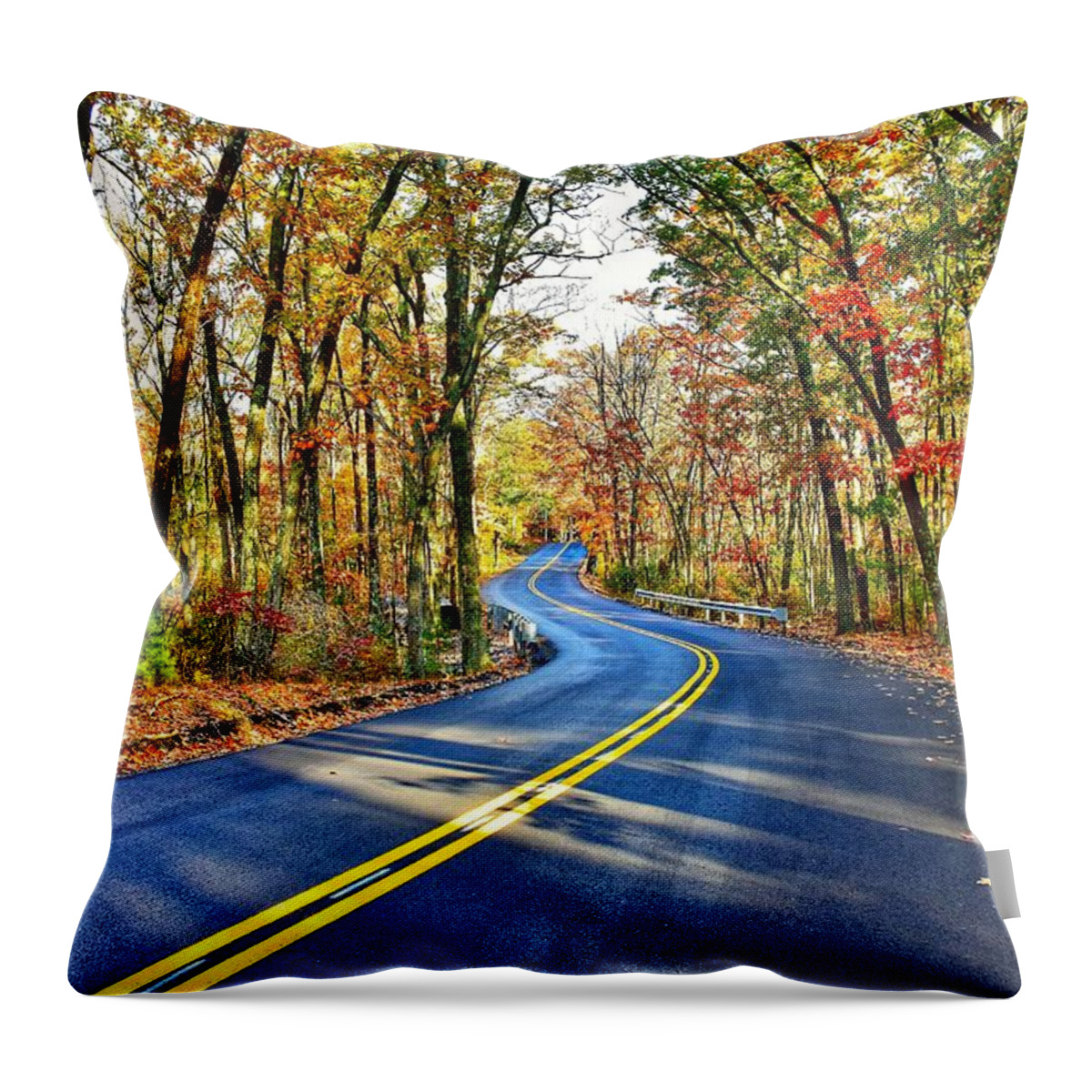 Road Throw Pillow featuring the photograph The Back Roads in the Fall by Monika Salvan