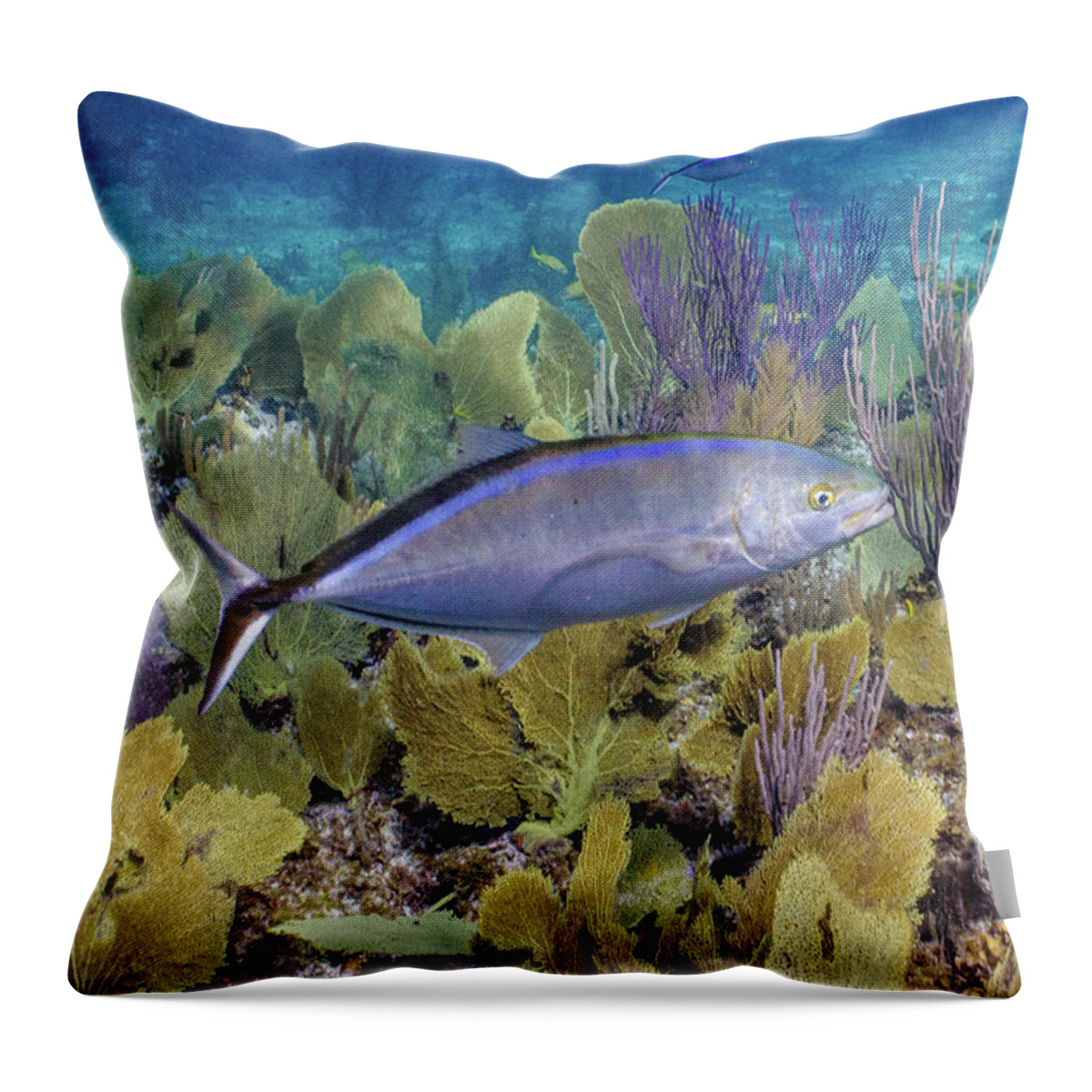 Animals Throw Pillow featuring the photograph The Bar Crossing by Lynne Browne