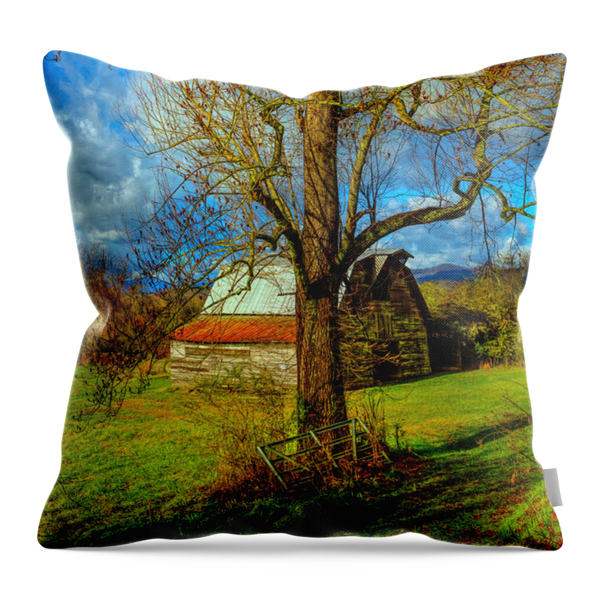 Andrews Throw Pillow featuring the photograph The Barn Farm Gate by Debra and Dave Vanderlaan