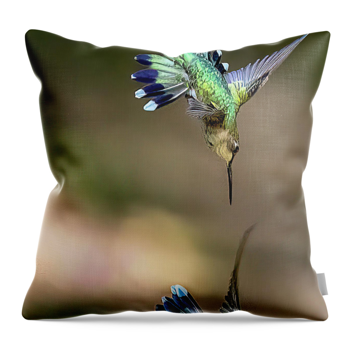 Hummingbirds Throw Pillow featuring the photograph The Battle by Norman Peay