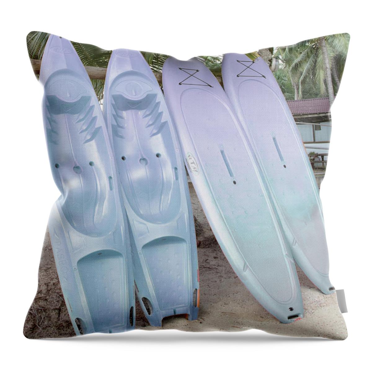 African Throw Pillow featuring the photograph The Beach Blues by Debra and Dave Vanderlaan
