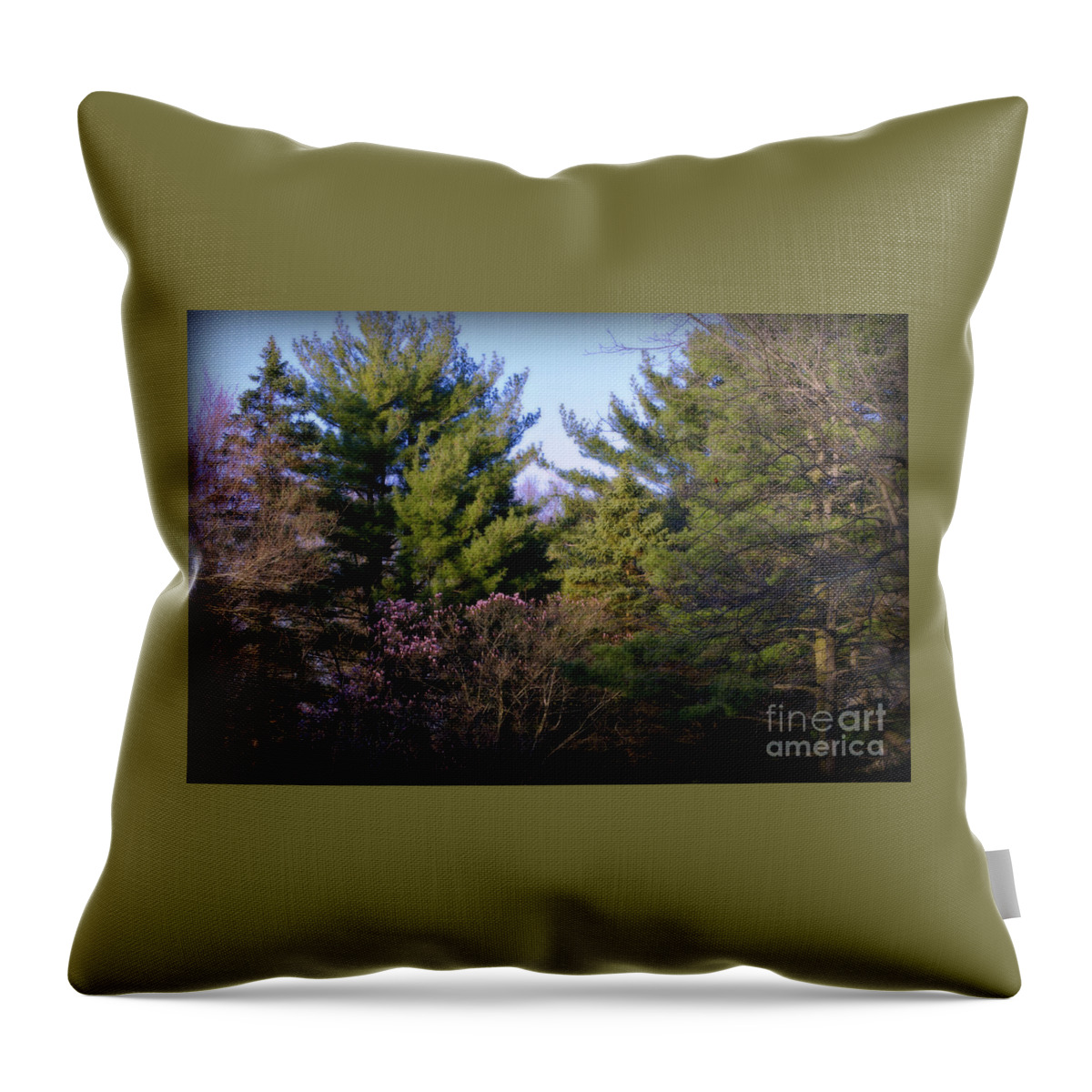Nature Throw Pillow featuring the photograph The Beauty of Nature in the Forest by Frank J Casella