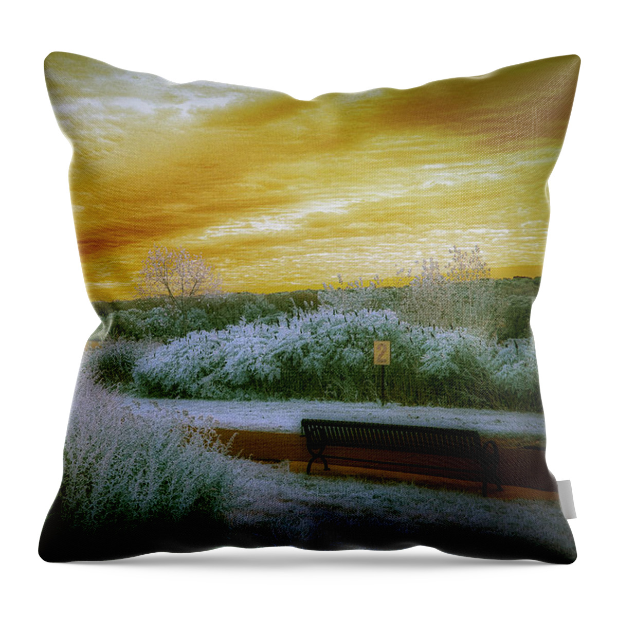 Overpeck Park Throw Pillow featuring the photograph The Bench by Penny Polakoff