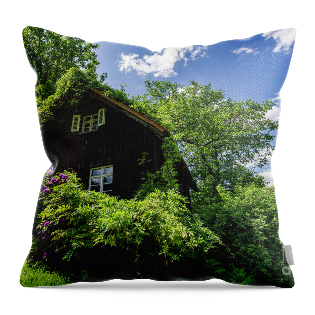 Mill Throw Pillow featuring the photograph The Benz Mill by Eva Lechner
