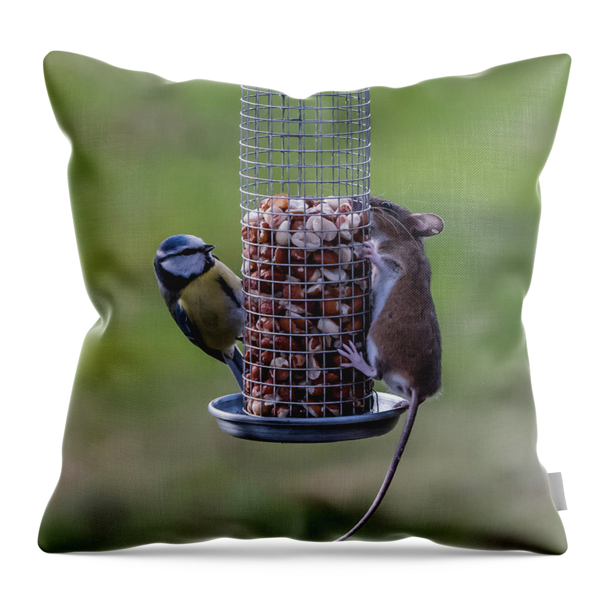 Bird Throw Pillow featuring the photograph The Bird and Mice Feeder by Torbjorn Swenelius