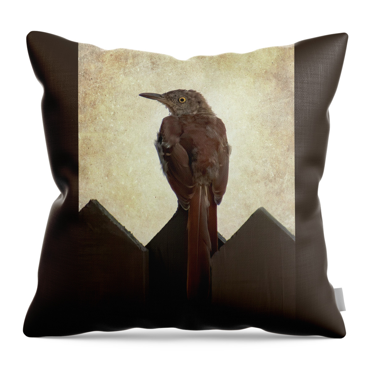  Throw Pillow featuring the photograph The Brown Thrasher of Georgia by Mary Buck