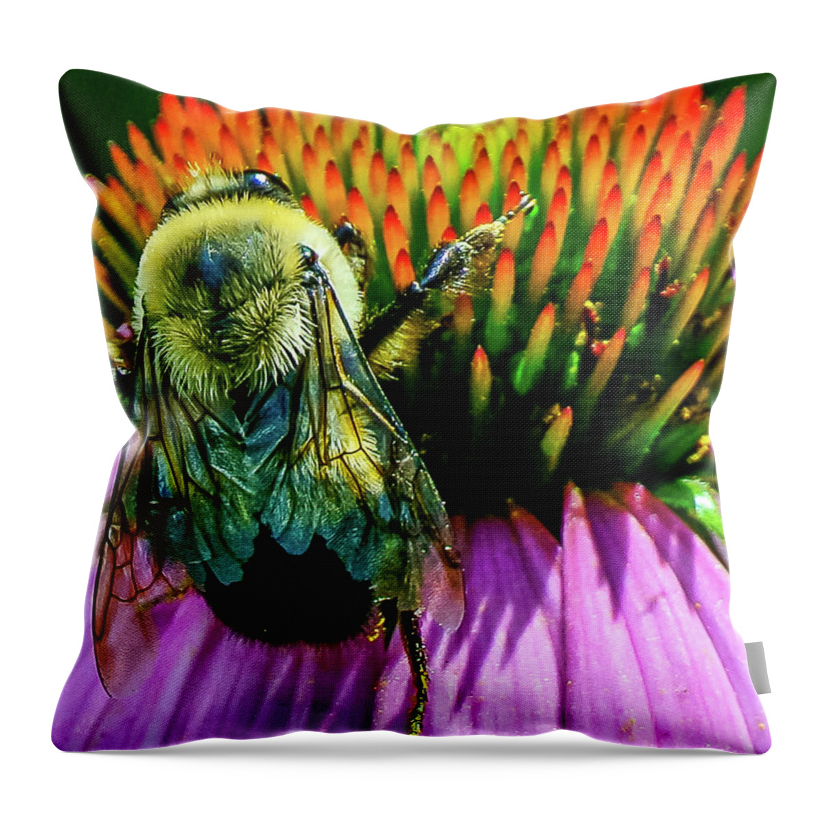 Bee Throw Pillow featuring the photograph The busy bee by Rick Nelson