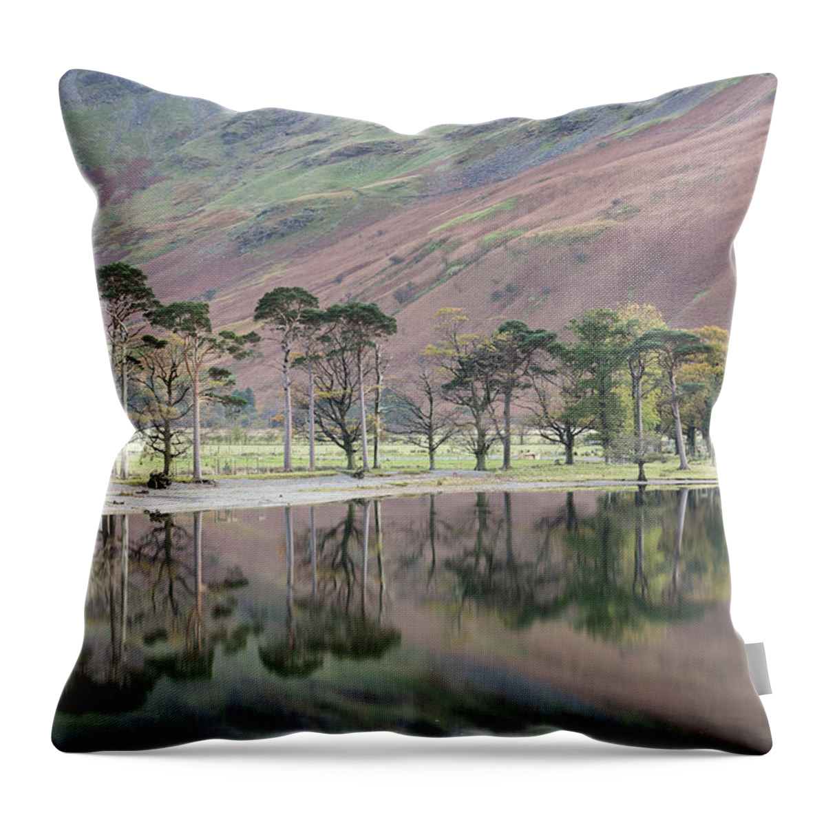 Cumbria Throw Pillow featuring the photograph The Buttermere Pines, Lake District, England, UK by Sarah Howard