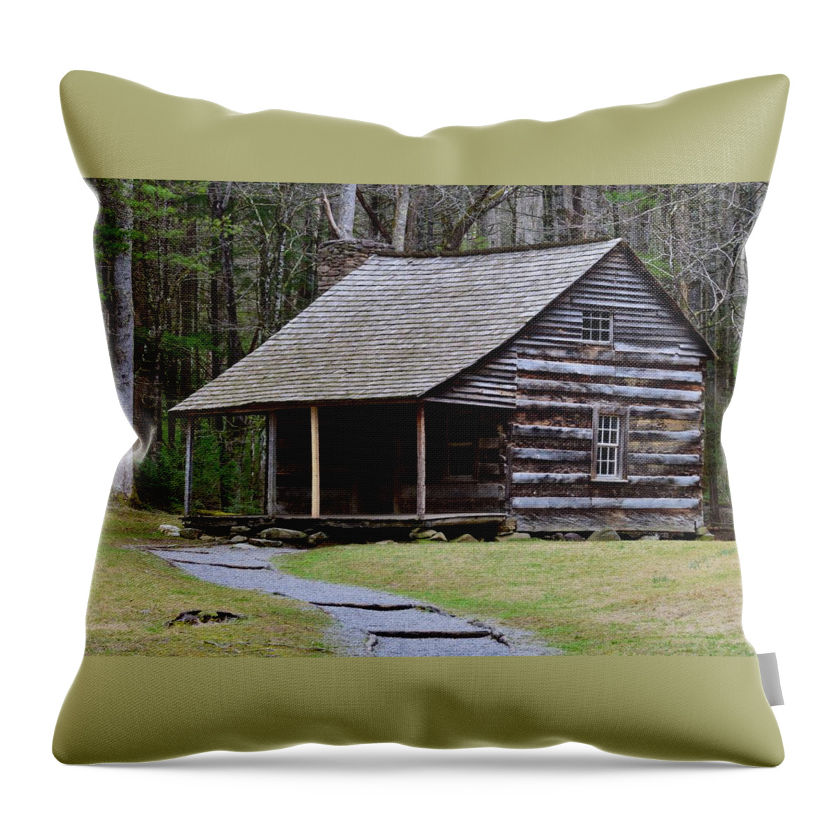 The Carter Shields Cabin Throw Pillow featuring the photograph The Carter Shields Cabin by Warren Thompson