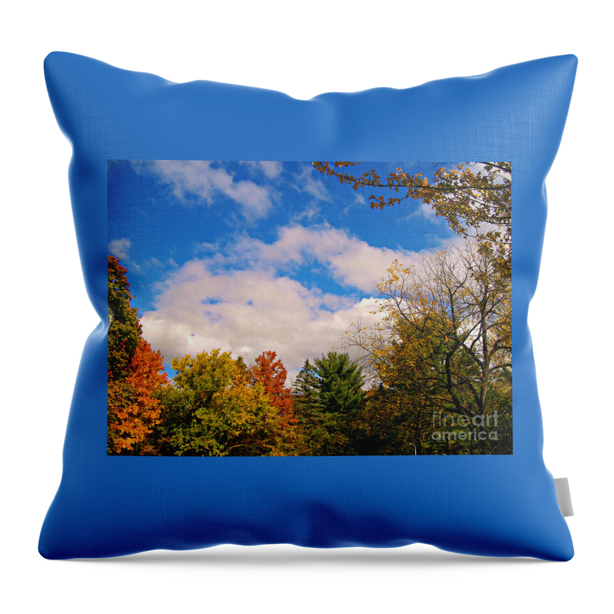 Nature Throw Pillow featuring the photograph The Changing Colors of Fall in Illinois by Frank J Casella