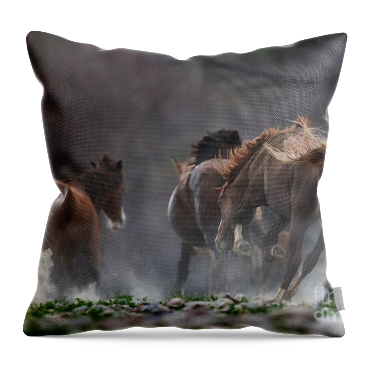 Stallion Throw Pillow featuring the photograph The Chase by Shannon Hastings