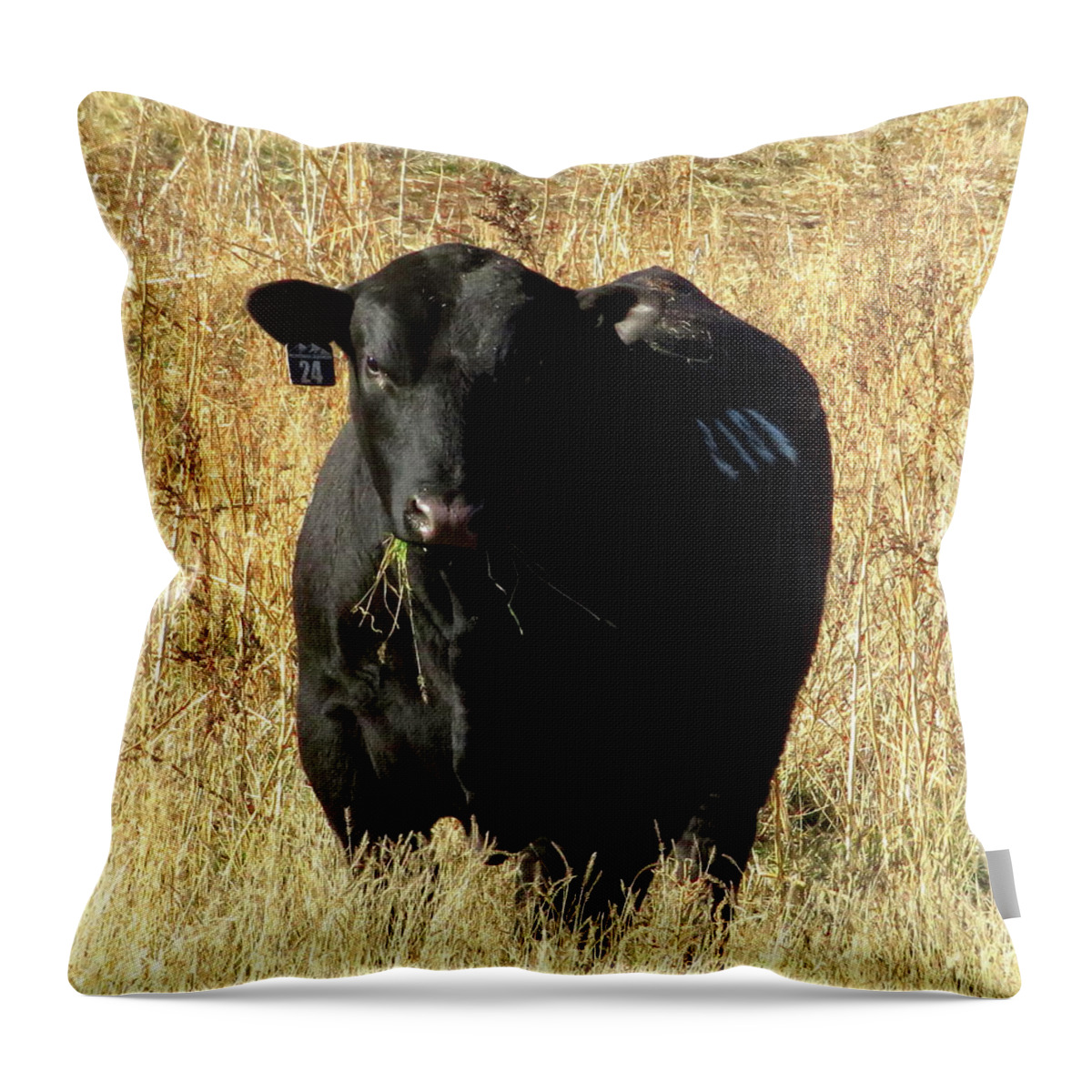 Angus Throw Pillow featuring the photograph The Colonel by Katie Keenan