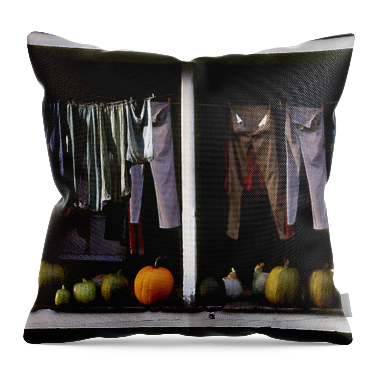 Porch Throw Pillow featuring the photograph The Country Porch by Wayne King