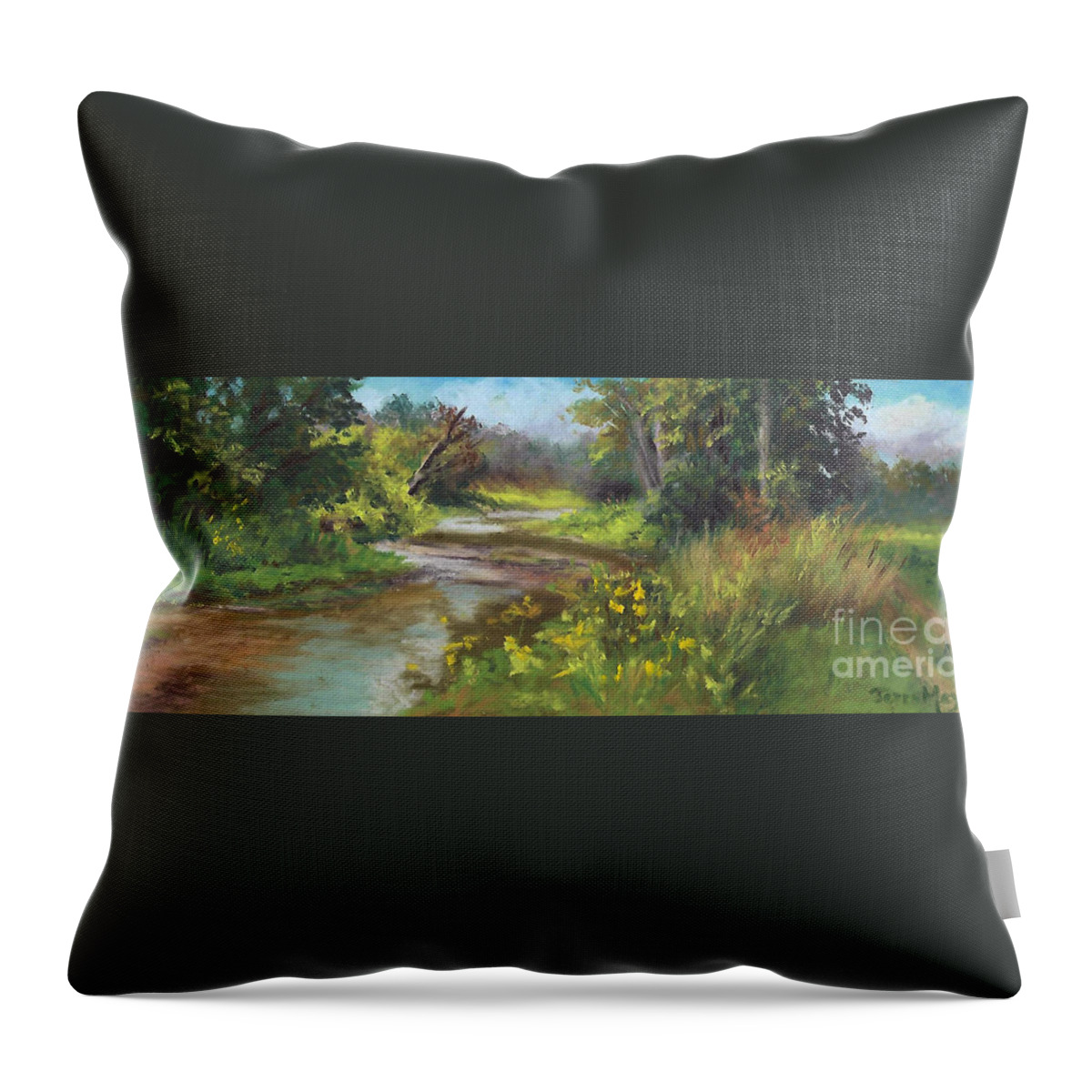 Panoramic Painting Of A Creek. Ohio Landscape Painting Of A Creek Throw Pillow featuring the painting The Creek at 1302 by Terri Meyer