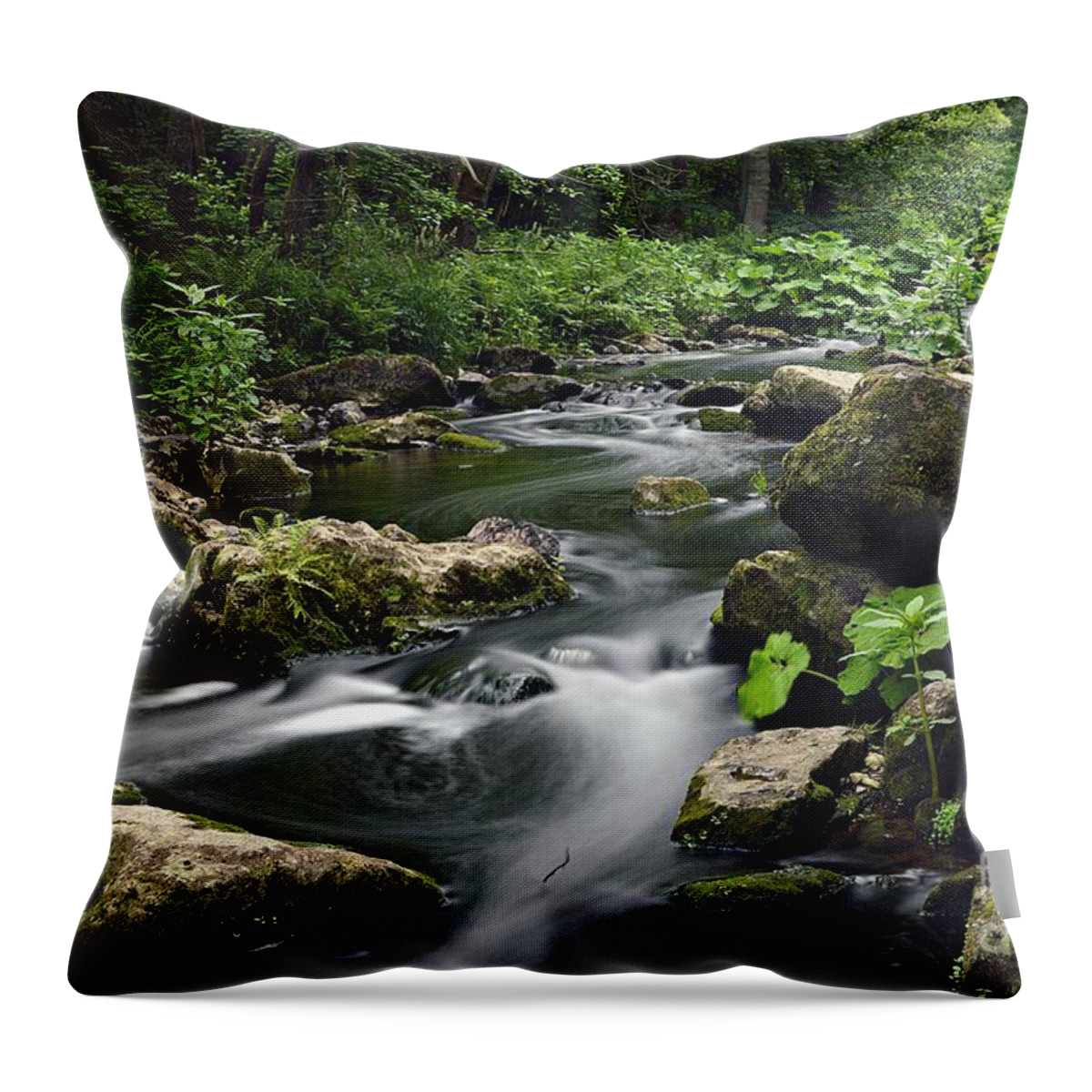 Wasser Throw Pillow featuring the photograph The Creek by Thomas Schroeder