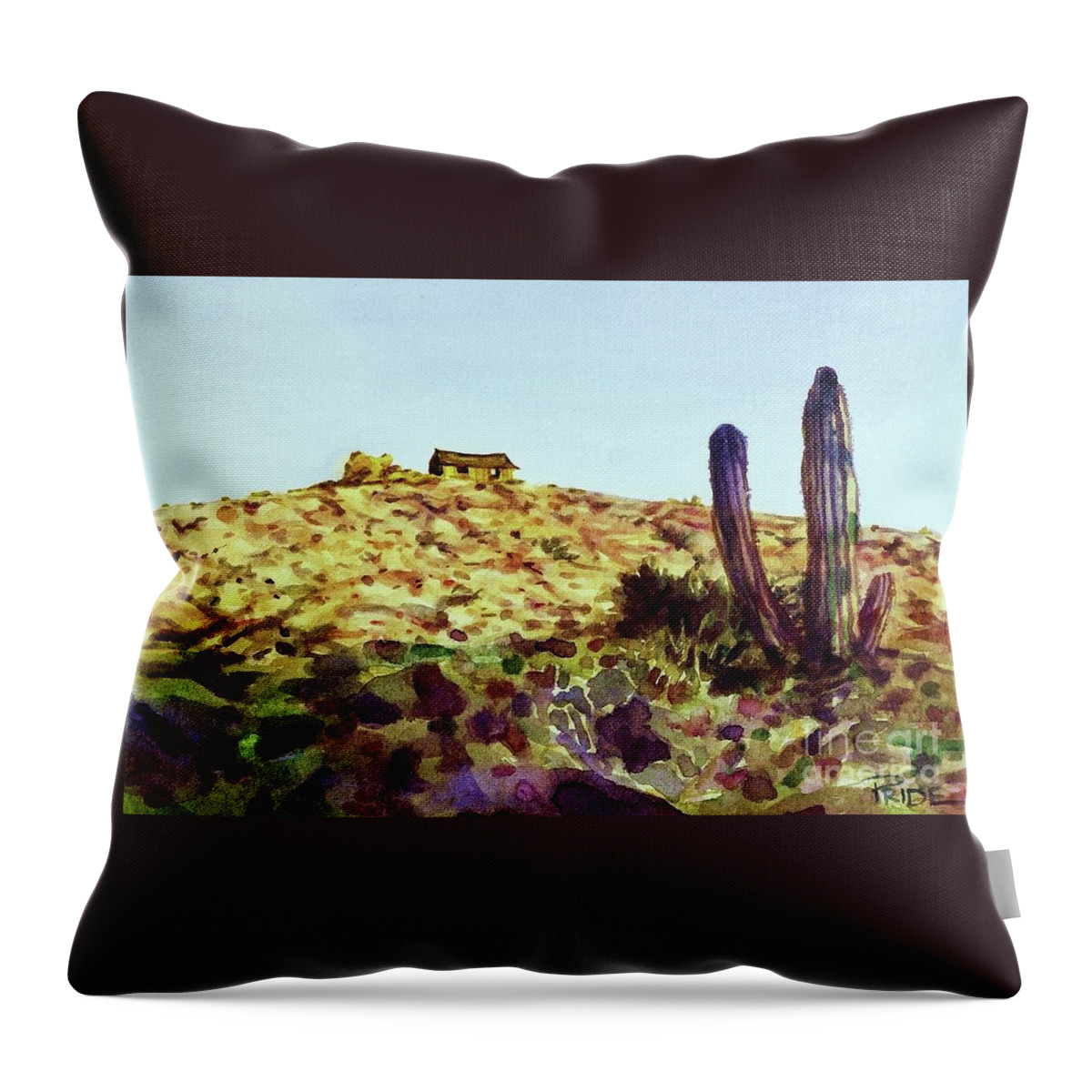 Cynthia Pride Watercolor Paintings Throw Pillow featuring the painting The Desert Place by Cynthia Pride