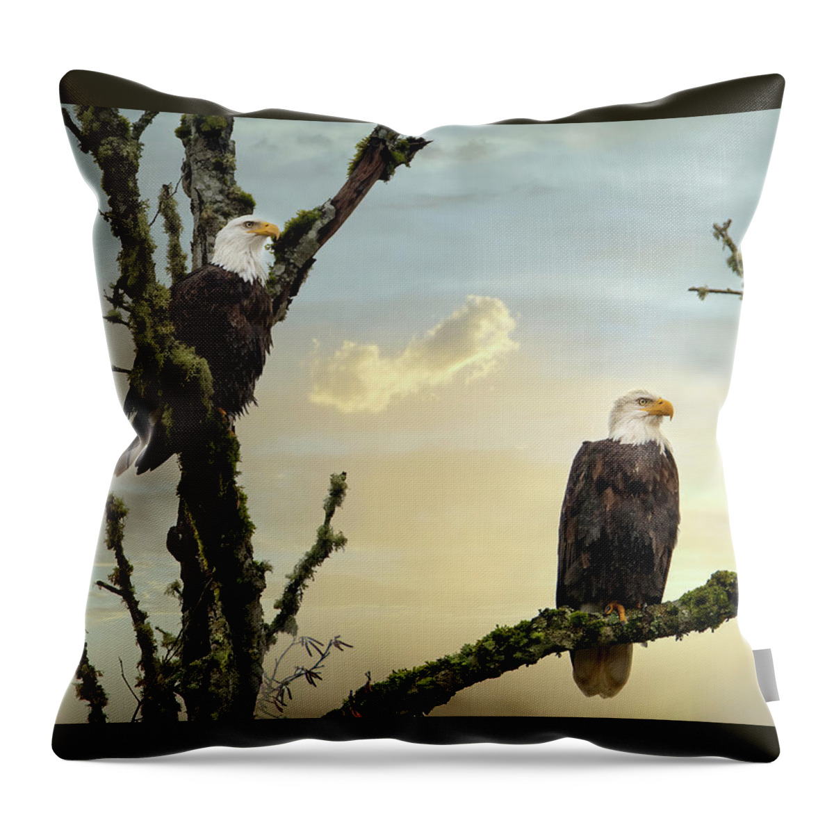 Eagle Throw Pillow featuring the photograph The Eagle Pair by Jeanette Mahoney