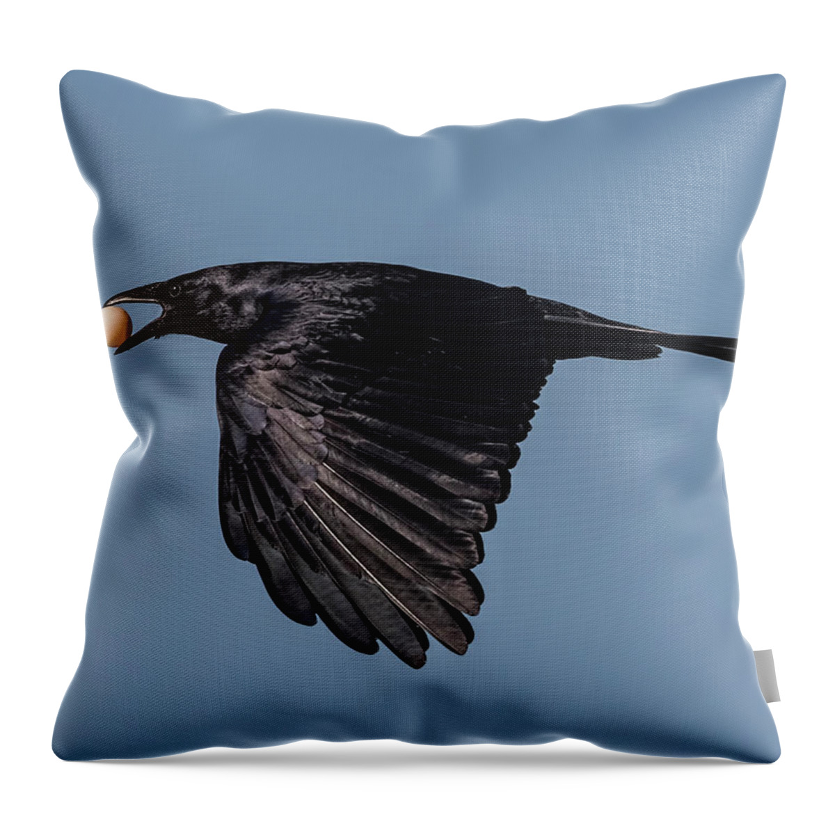 Crow Throw Pillow featuring the photograph The Egg Thief by Justin Battles