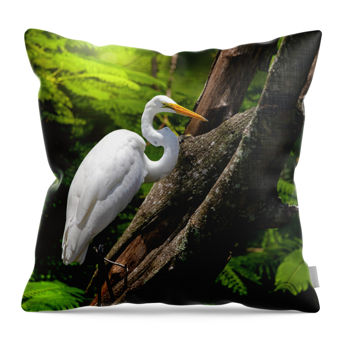 Great White Egret Throw Pillow featuring the photograph The Elegant Great White Egret by Mark Andrew Thomas