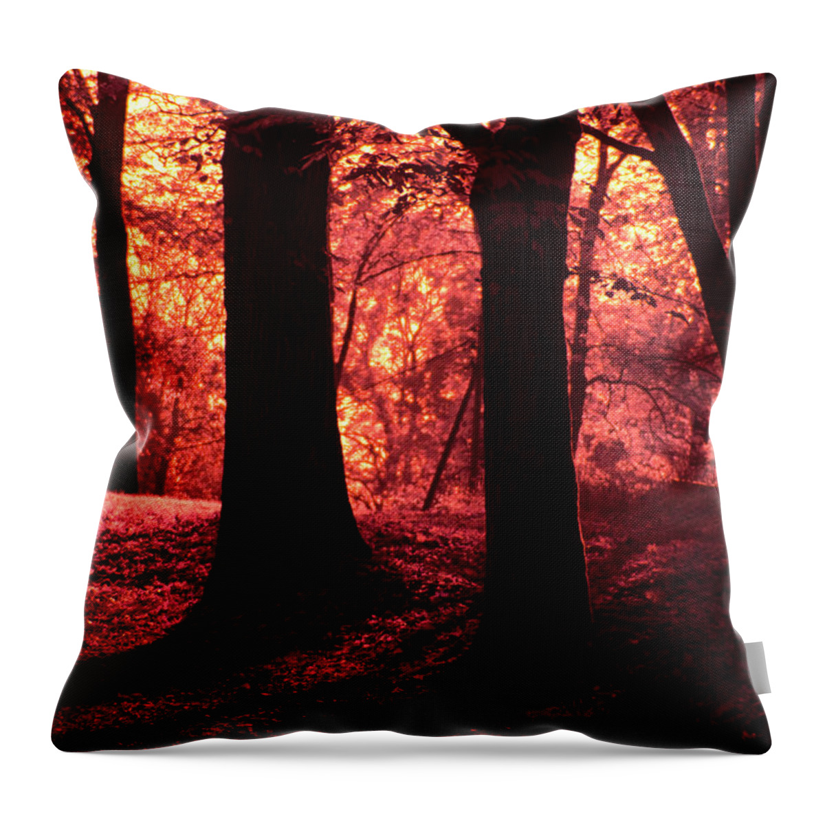 Forest Throw Pillow featuring the photograph The enchanted forest at sunset by Maria Dimitrova
