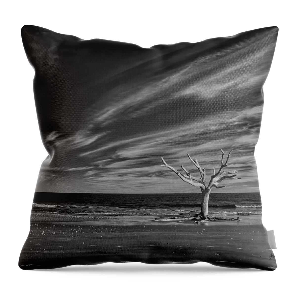Boneyard Beach Throw Pillow featuring the photograph The Enduring Tree by Jurgen Lorenzen