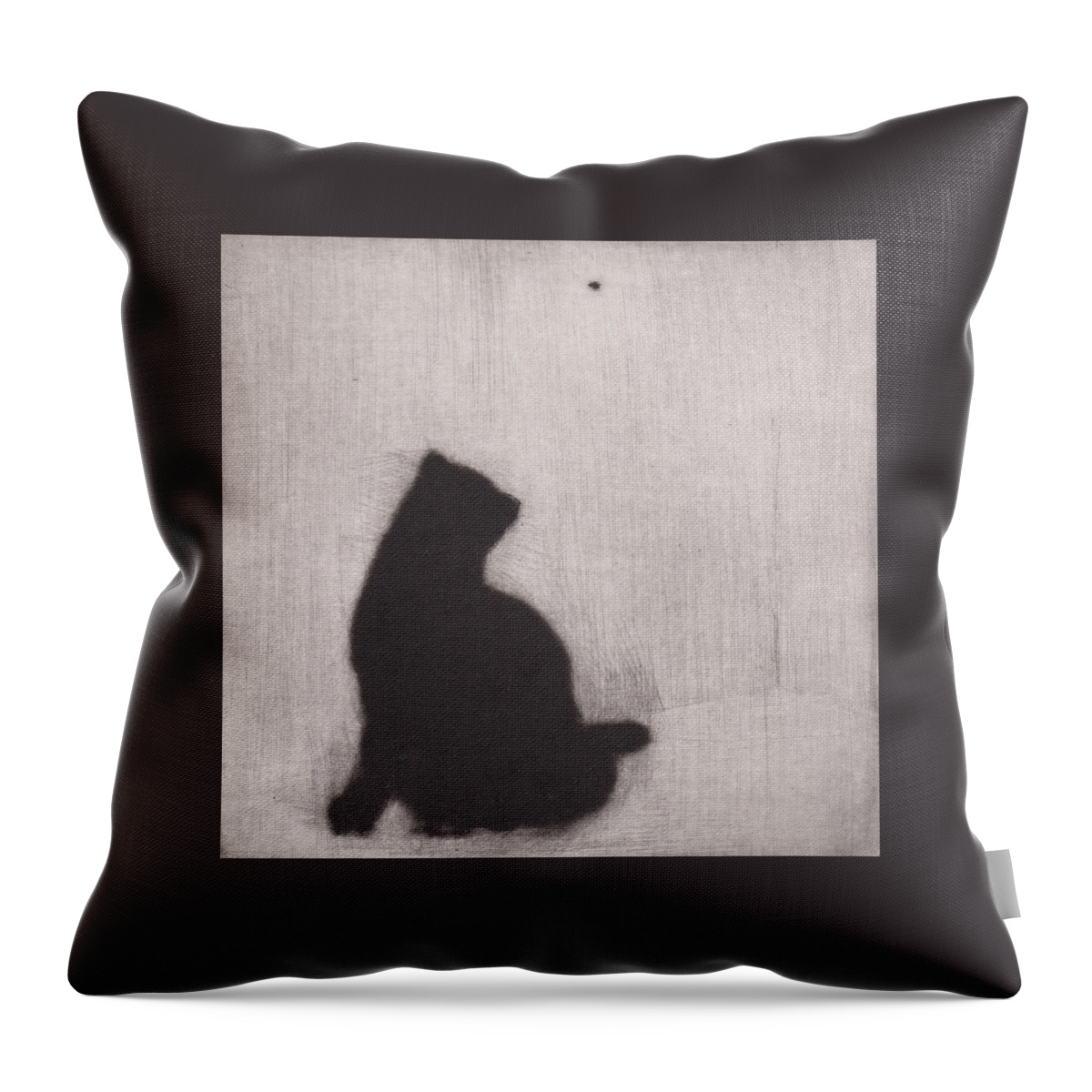 Cat Throw Pillow featuring the drawing The Entomologist - etching by David Ladmore